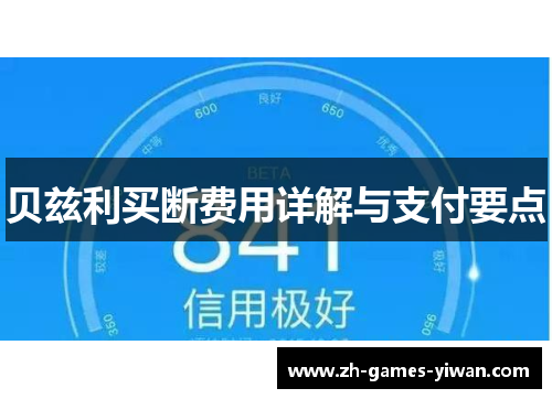 贝兹利买断费用详解与支付要点